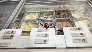 Organic Creamery By Iceberg - Himayatnagar