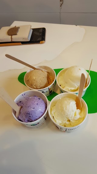Naturals Ice Cream